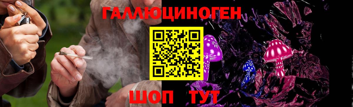 Псилоцибиновые грибы Psilocybe  Вход с VPN  даркнет сайт  Старый Оскол  Галлюциногенные грибы мицелий 